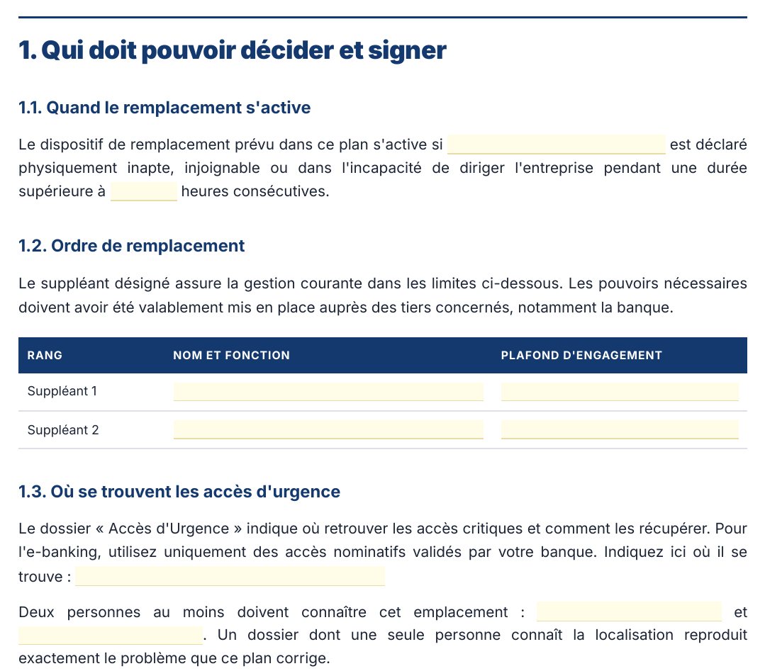 Aperçu du Plan Alpha&nbsp;: la page «&nbsp;Qui doit pouvoir décider et signer&nbsp;», avec ses zones à compléter.